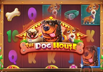 Playtech - игровой автомат онлайн от Various с RTP 95.16%